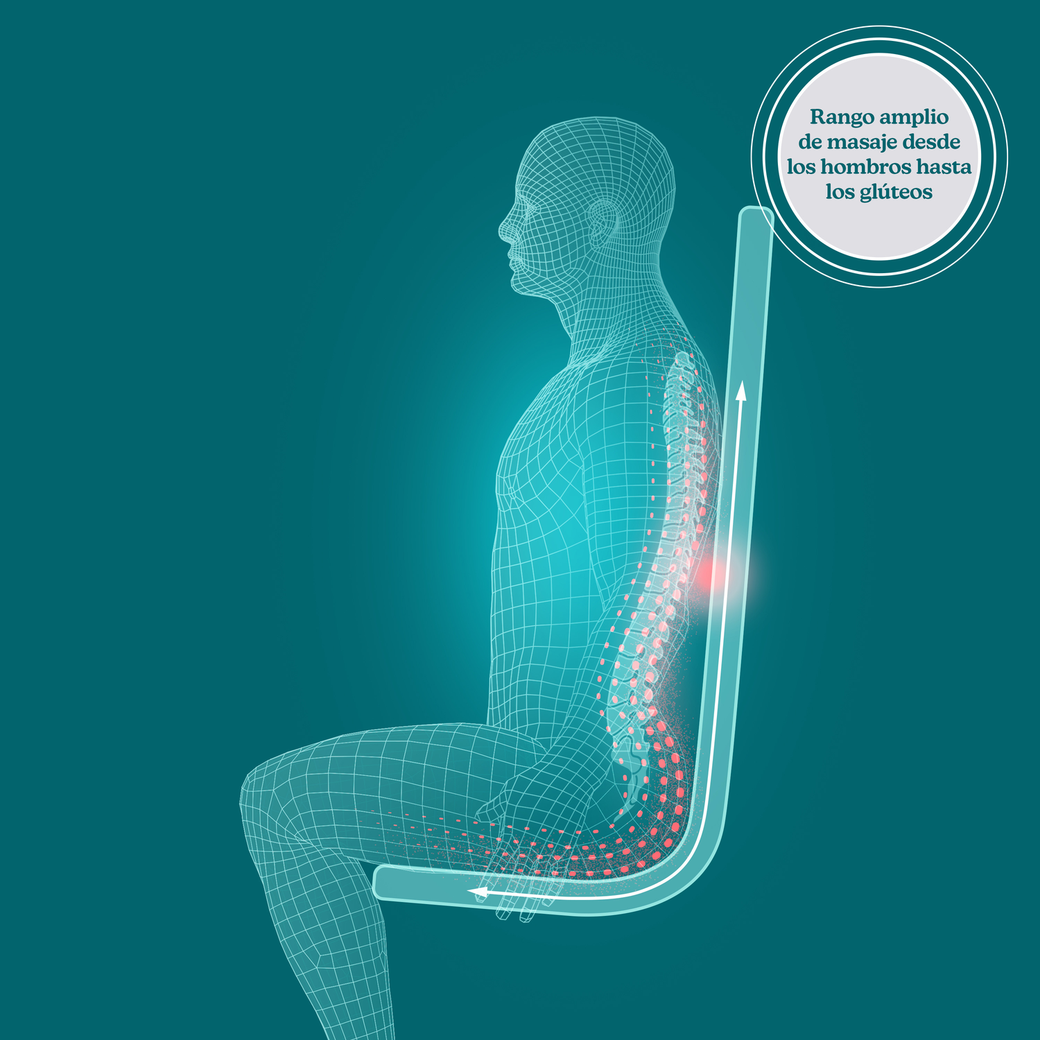 png_1500x1500_65122888