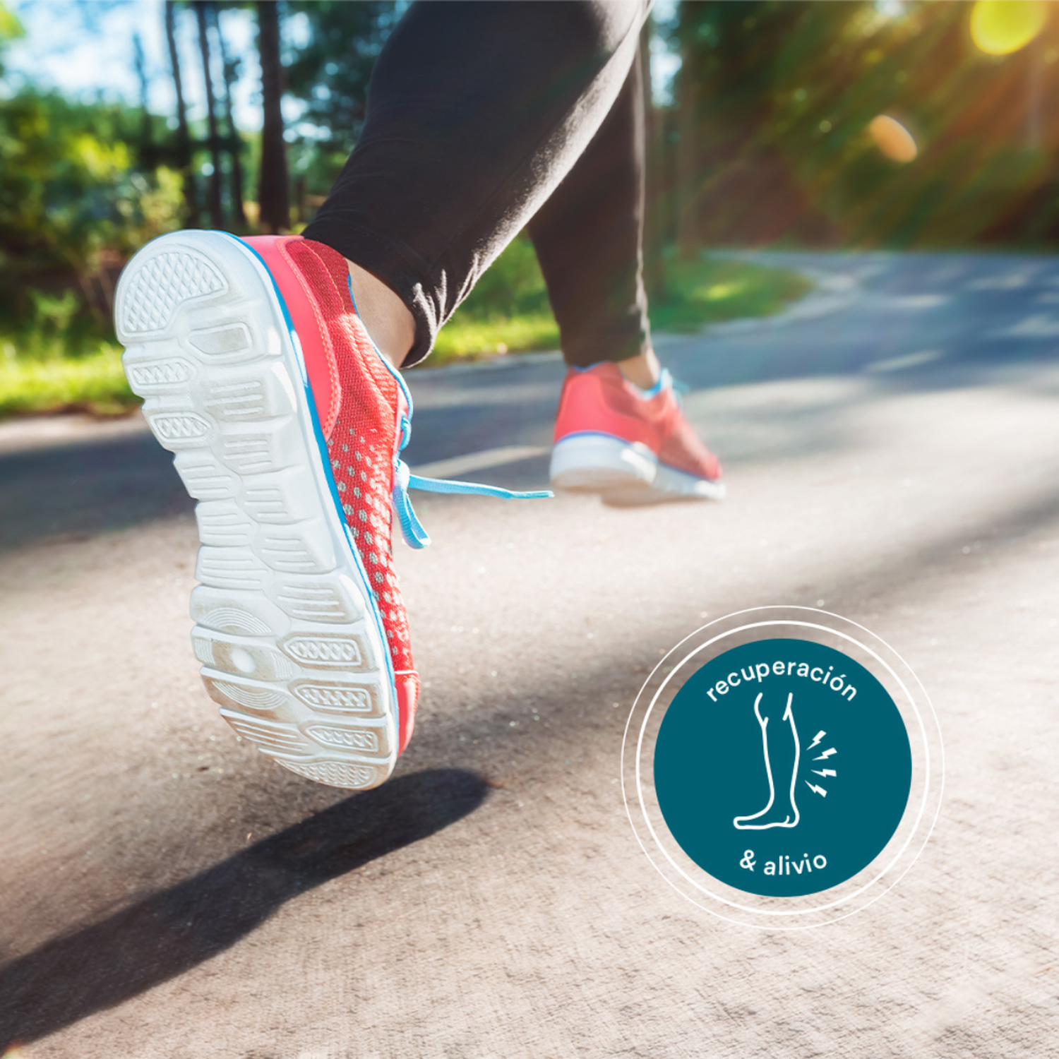 png_1500x1500_65112244